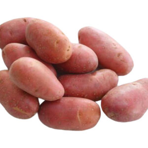 Asterix Potato