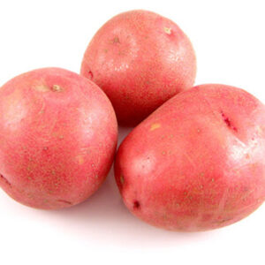 Lady Rosetta Potato