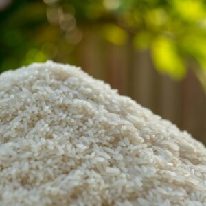 IRRI 6 Rice