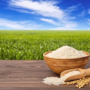 Pakistan The Best Quality Rice