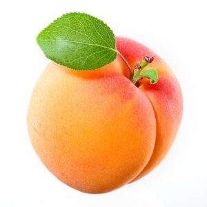 Fresh Apricot Farm Collection