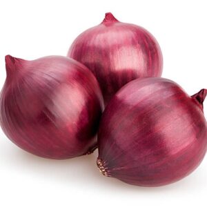 Pakistan The Best Quality Onion